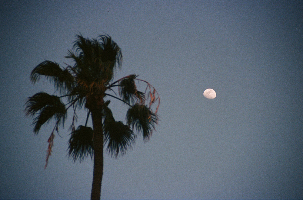 los angeles, ca<br />2025